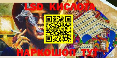 прущие грибы Будённовск