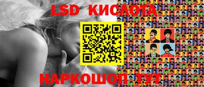 прущие грибы Будённовск