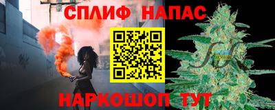 прущие грибы Будённовск
