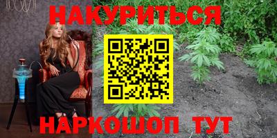 прущие грибы Будённовск