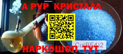 прущие грибы Будённовск