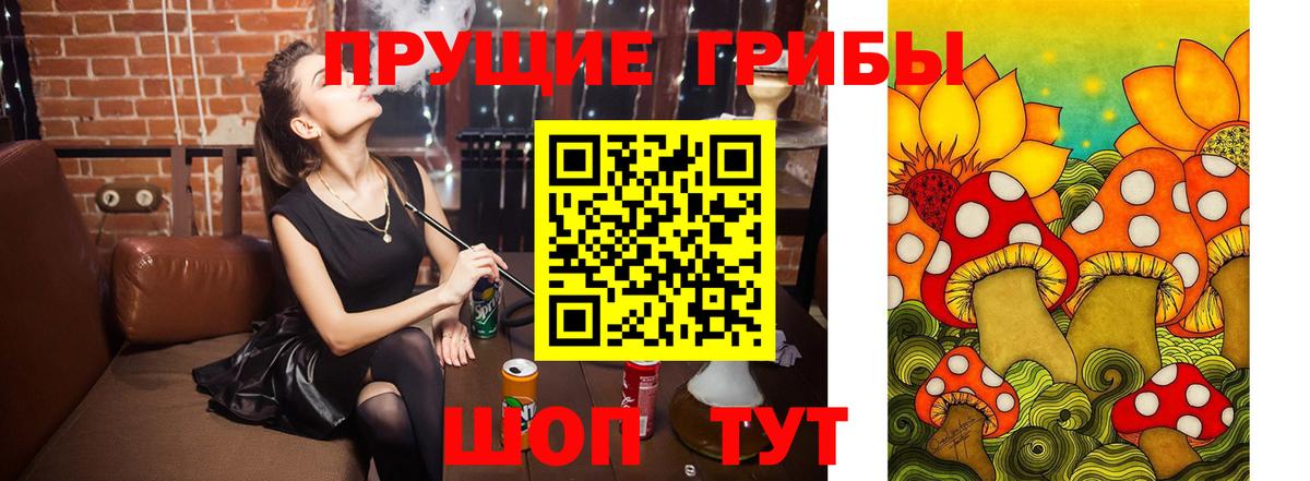 Псилоцибиновые грибы MAGIC MUSHROOMS  Псилоцибиновые грибы MAGIC MUSHROOMS  Вход с VPN  Тында 