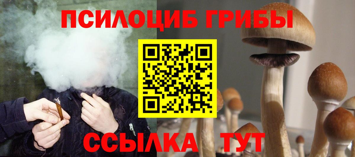 Псилоцибиновые грибы Magic Shrooms Тында